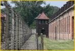 Fence and Guard Tower